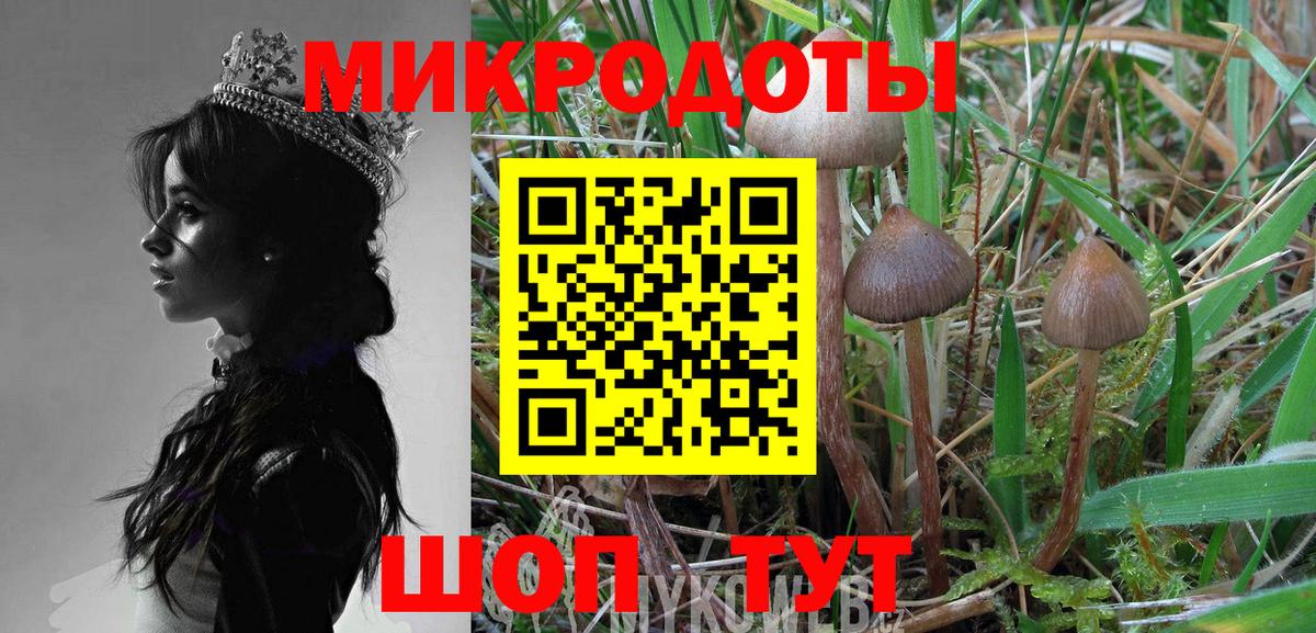 Гагарин  Псилоцибиновые грибы Psilocybe  Вход с VPN 
